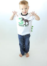 Three Rex Dino 3rd Birthday T-Shirt for Boys