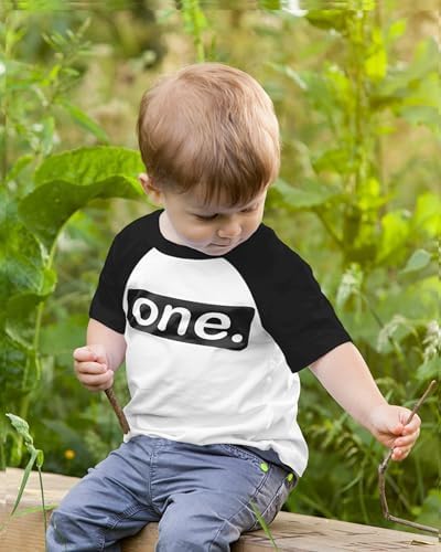 One. Minimalist 1st Birthday Raglan Shirt for Baby Boys