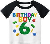 Birthday Boy Blocks 6th Birthday Raglan T-Shirt for Boys