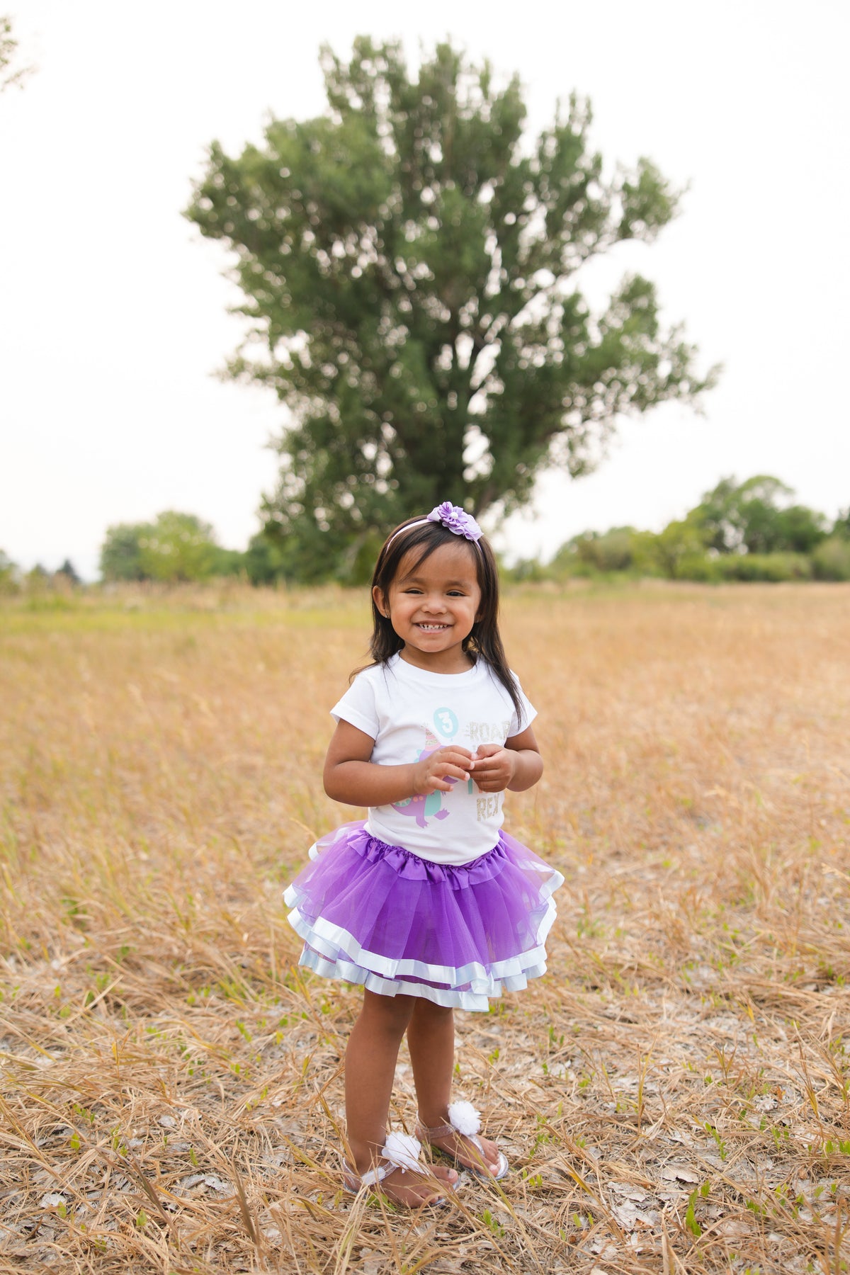 Luke and Lulu 3rd Birthday Girl Outfit - Three Rex Girl Outfit - Third Birthday Shirt Tutu Three Rex Decorations