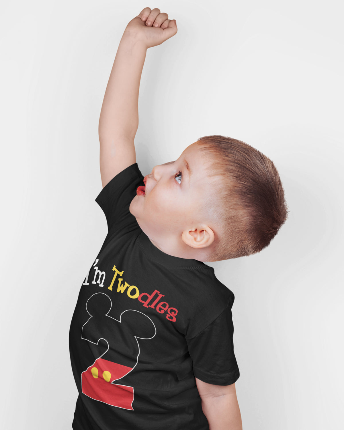 Luke and Lulu 2nd Birthday Shirt Boy - Mouse Themed Short Sleeve Birthday Boy Shirt 2 - Premium 2nd Outfit - Two